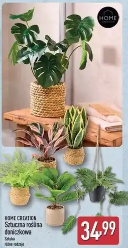 ALDI HOME CREATION Sztuczna roślina doniczkowa oferta