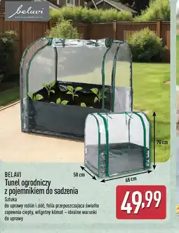 ALDI Belavi Tunel ogrodniczy z pojemnikiem do sadzenia oferta