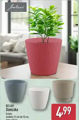 ALDI Belavi Doniczka oferta