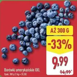 ALDI Borówki amerykańskie XXL oferta