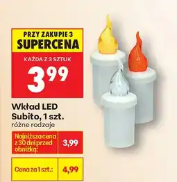 Biedronka Wkład LED różne rodzaje oferta