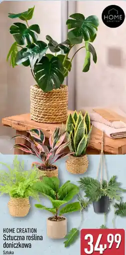 ALDI Home Creation Sztuczna roślina doniczkowa oferta