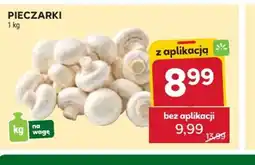 Stokrotka Pieczarki oferta