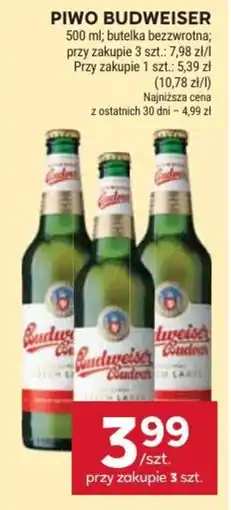 Stokrotka Piwo Budweiser oferta