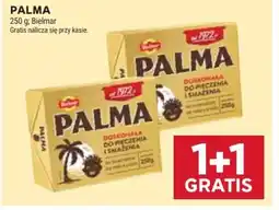 Stokrotka Bielmar Palma oferta