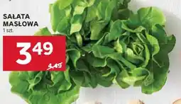 Stokrotka Sałata masłowa oferta