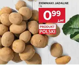 Stokrotka Ziemniaki jadalne oferta