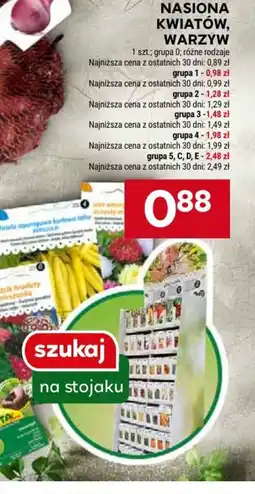 Stokrotka Nasiona kwiatów, warzyw oferta