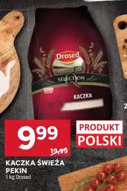 Stokrotka Drosed Kaczka świeża Pekin oferta