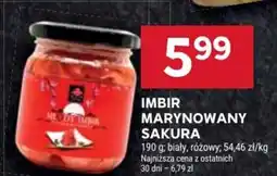Stokrotka Imbir marynowany Sakura oferta