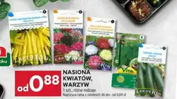 Stokrotka Nasiona kwiatów, warzyw oferta