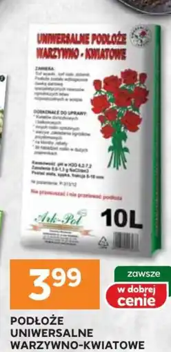Stokrotka Podłoże uniwersalne warzywno-kwiatowe Ark-Pol oferta
