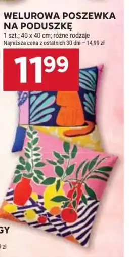 Stokrotka Welurowa poszewka na poduszkę oferta