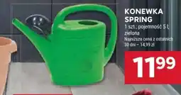 Stokrotka Konewka Spring oferta