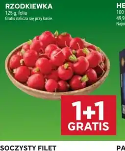 Stokrotka Rzodkiewka oferta