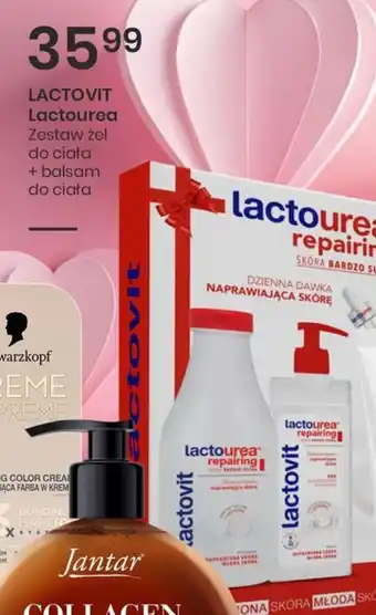 Lactovit Lactourea zestaw