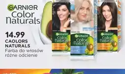 Sekret Urody Garnier Color Naturals farba do włosów oferta