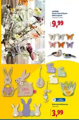 Lidl Dekoracje wielkanocne oferta