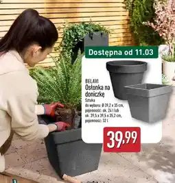 ALDI Osłonka na doniczkę oferta
