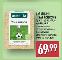 ALDI Trawa boiskowa oferta