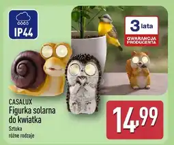 ALDI Figurka solarna do kwiatka oferta