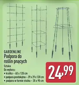 ALDI Podpora do roślin pnących oferta