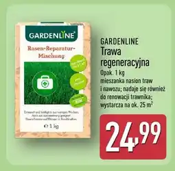 ALDI Trawa regeneracyjna oferta