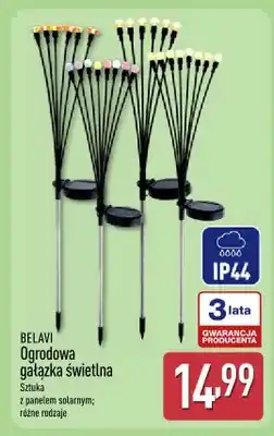 ALDI Ogrodowa gałązka świetlna oferta