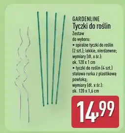 ALDI Tyczki do roślin oferta