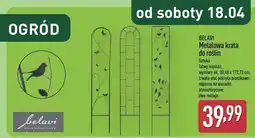 ALDI Metalowa krata do roślin oferta