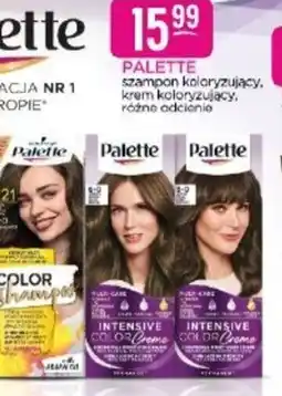 Jaśmin Palette szampon/krem koloryzujący oferta
