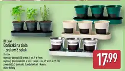 ALDI Doniczki na zioła - zestaw 3 sztuk oferta