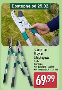 ALDI Nożyce teleskopowe oferta