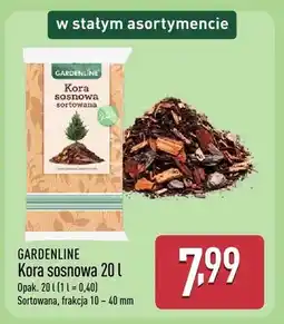 ALDI Kora sosnowa oferta