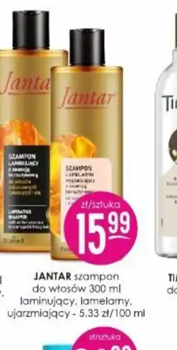 Jaśmin Jantar szampon do włosów oferta
