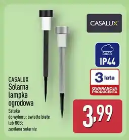 ALDI Solarna lampka ogrodowa oferta