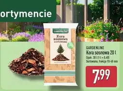 ALDI Kora sosnowa oferta