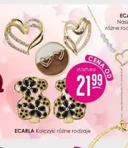 Jaśmin Ecarla Kolczyki oferta