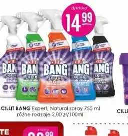 Jaśmin Cillit Bang Expert Natural spray oferta