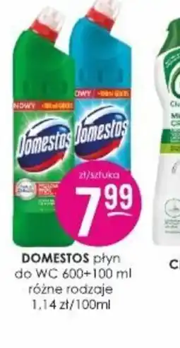 Jaśmin Domestos płyn do WC oferta