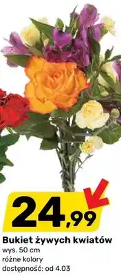 Bricomarche Bukiet żywych kwiatów oferta