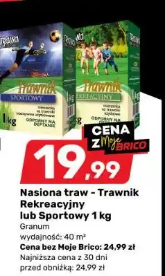 Bricomarche Nasiona traw - Trawnik Rekreacyjny lub Sportowy oferta