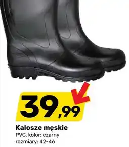 Bricomarche Kalosze męskie oferta