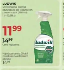 Jawa Drogerie LUDWIK pianka czyszcząca oferta