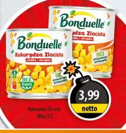 DUO-TES Bonduelle Kukurydza Złocista oferta