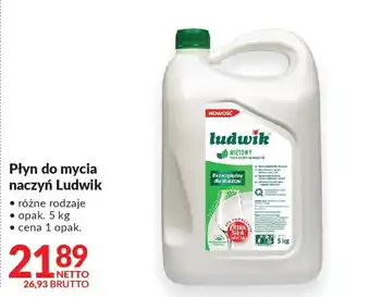 Płyn do mycia naczyń Ludwik