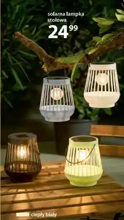 NKD Solarna lampka stołowa oferta