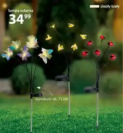 NKD Lampa solarna oferta