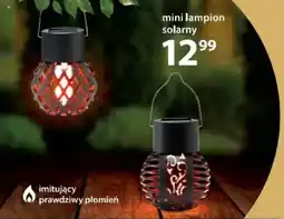 NKD Mini lampion solarny oferta