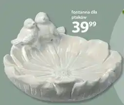 NKD Fontanna dla ptaków oferta